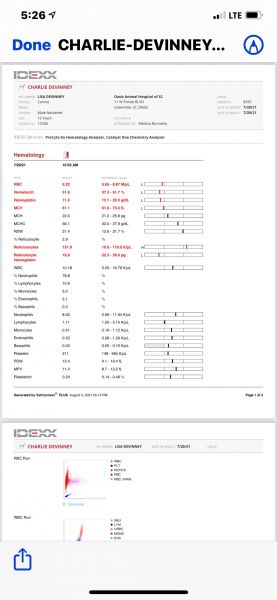 Diagnosti(1)