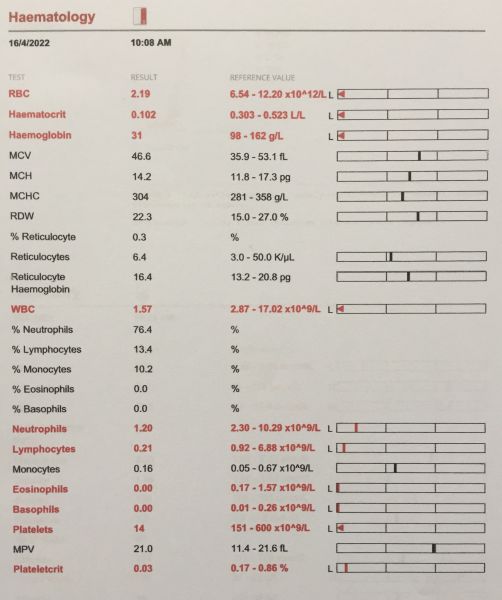 Blood test results Vet Help Direct