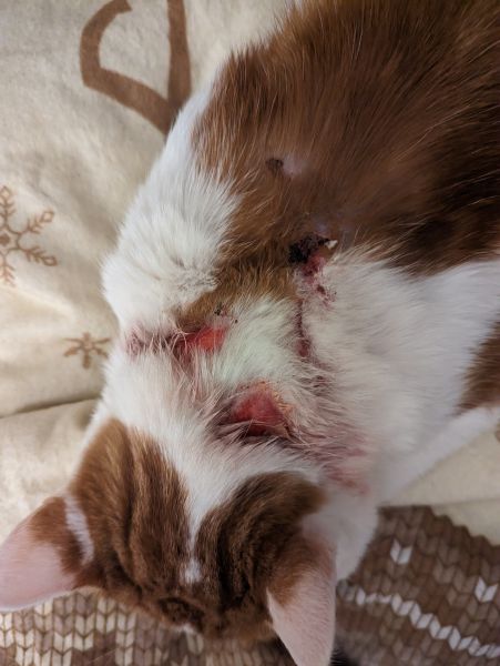 PXL_20230128_183605685