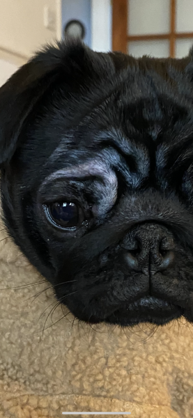 990E2E0D-FC63-449E-8326-A53C9E11FF3F