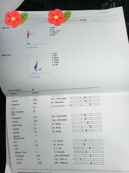 IMG_20250619_121930_291