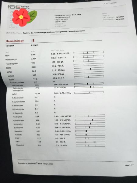 IMG_20250619_121934_833