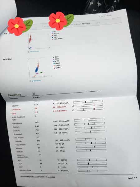 IMG_20250619_121937_202