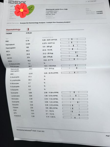 IMG_20250619_121925_050