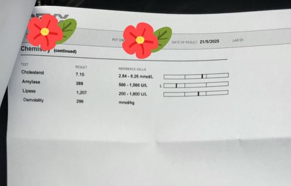 IMG_20250619_121838_150