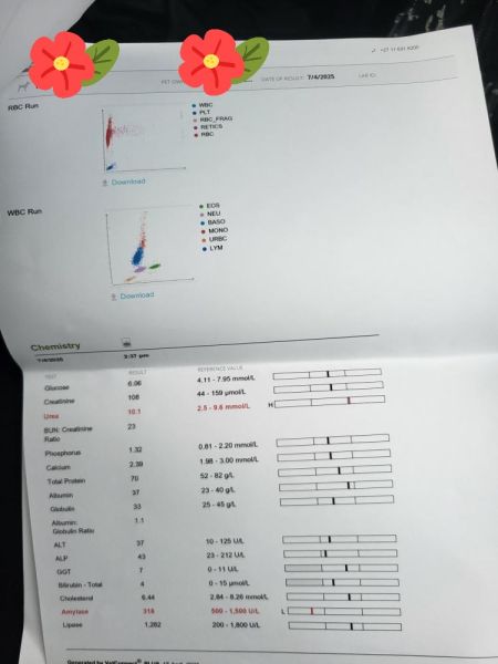 IMG_20250619_121926_655