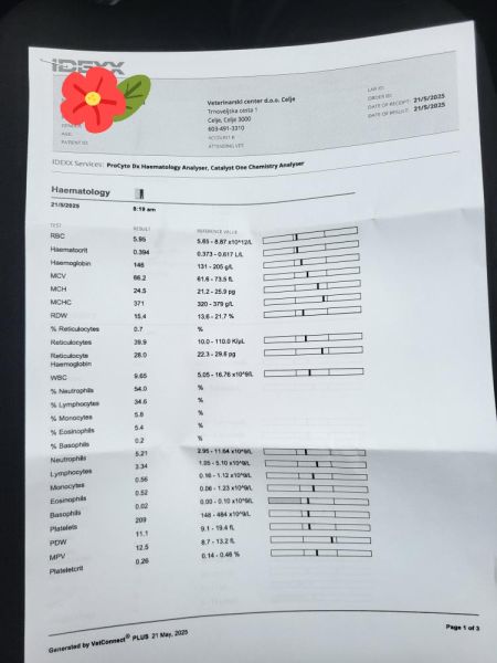 IMG_20250619_121832_992