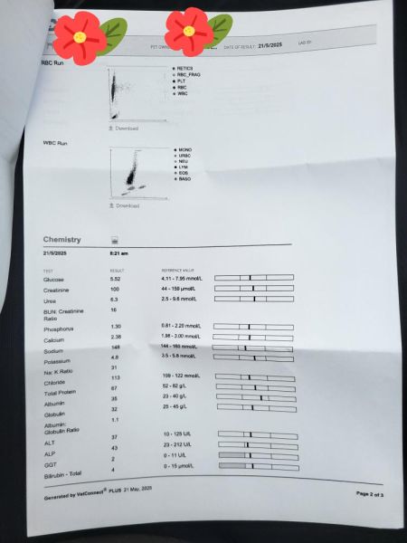 IMG_20250619_121835_796