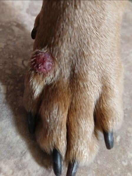 inbound1684173805939803551