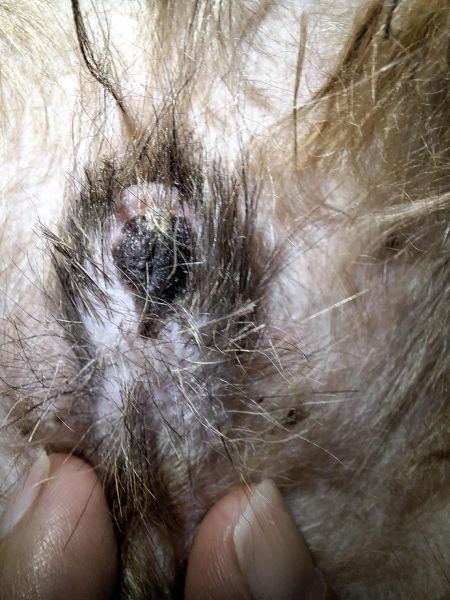 Messenger_creation_C2AB7859-CD12-4035-B931-198018D5A3AC