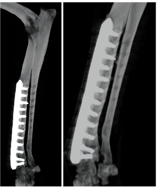 Screenshot_20250924_001315_Drive