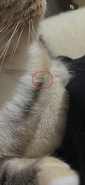 photo_2025-10-17_16-56-14