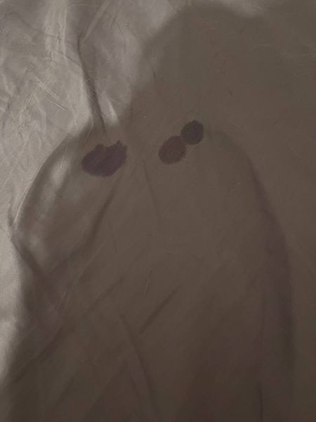 photo_2025-10-17_16-56-22