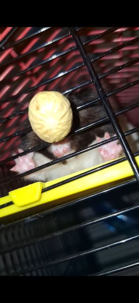 Screenshot_20251230_181002_Gallery