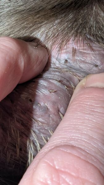 att.TfeTAwBR8CioupYl0fdgtveCqJkhucUR1Ksddht_Bt0