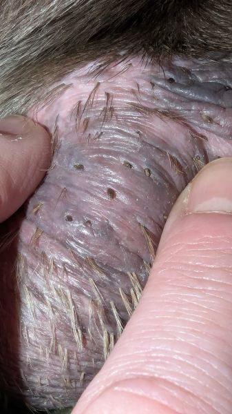 att.pBujhP1SrbhHTg9vNRNnG6i7YsK676-mV9psigqxgWk