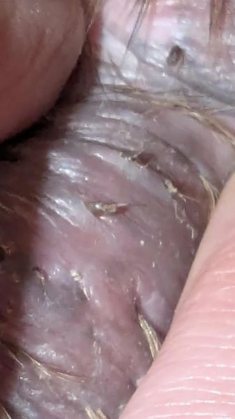 att.umR4tw1PxXcqOYa83BojlSjgeWE_AZ69gBFYEDps84c