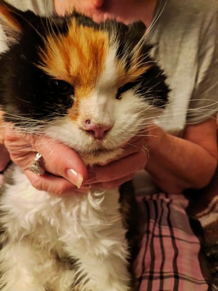 IMG_20260419_202950452